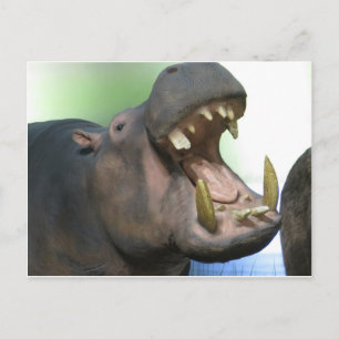 Hppo Briefkaart