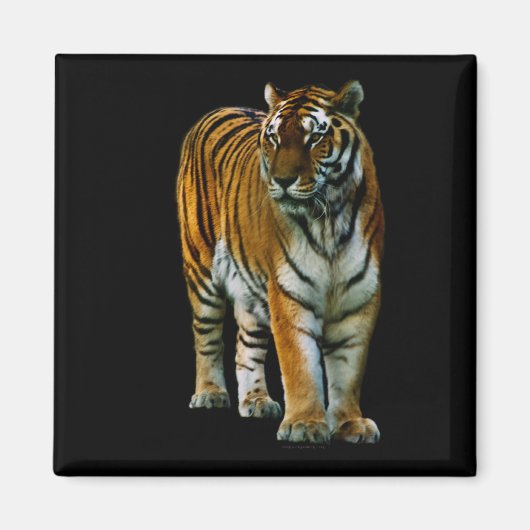 Hu Lin Magnet (Devant)