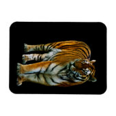 Hu Lin Premium Magnet (Horizontal)