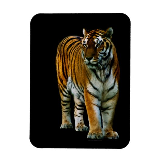 Hu Lin Premium Magnet Magneet (Verticaal)