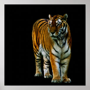 Hu Lin Print