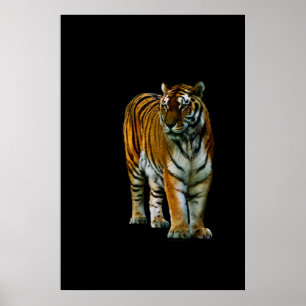 Hu Lin Print