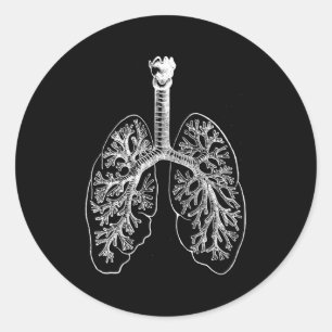 Hu Lungs Anatomie Pulmonoloog Respiratory Lungs Ronde Sticker