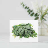 Huacatay briefkaart (Staand voorkant)