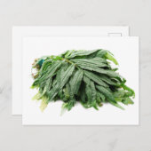 Huacatay briefkaart (Voorkant / Achterkant)