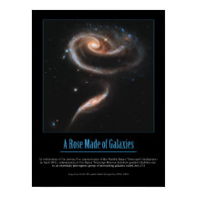 HUBBLE - EEN ROOS VAN GALAXIES