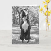 Hudson - u bent een Ware Kaart van de Vriend (Gele Bloem)