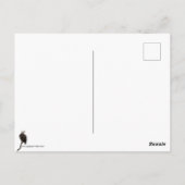 Hudson Valley Eagle Briefkaart (Achterkant)