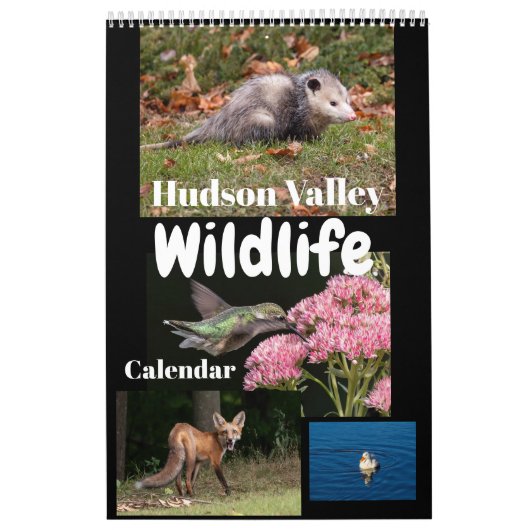 Hudson Valley Wildlife Calendar Kalender (Hoes)