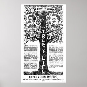 Hudyan Remedio Therapy - 1897 Poster