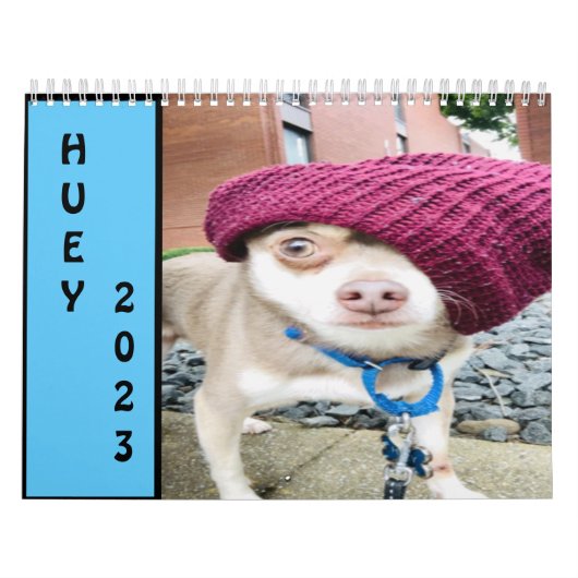 Huey 2023 Wall Calendar Kalender (Hoes)