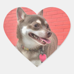 Huey A mes Stickers Coeur !