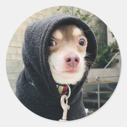 Huey en Stickers déguisé ! ! (Devant)