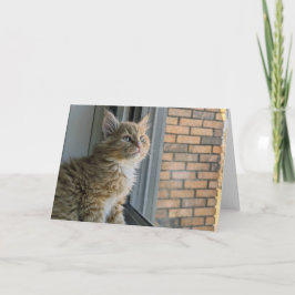 Huey kijkt uit naar de wereld kaart