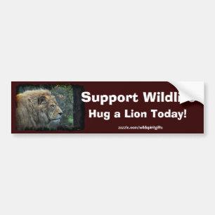 HUG A LION Wildlife-Supporter Fun Bumpersticker