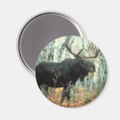 Huge Moose Magneet (Voorkant / Achterkant)