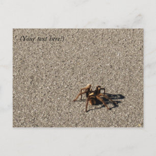 HuGe sPiDeR II Briefkaart