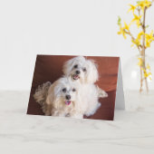 Huggenkaart Kaart (Gele Bloem)