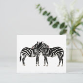 Hugging Zebras Briefkaart (Staand voorkant)