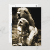 Hugs Briefkaart (Voorkant / Achterkant)