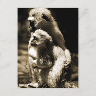 Hugs Briefkaart