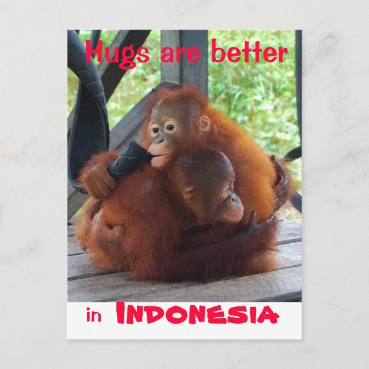 Hugs is beter in Indonesië Briefkaart (Voorkant)