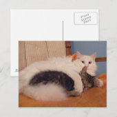 HugZ-briefkaart Briefkaart (Voorkant / Achterkant)