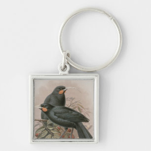 Huia Sleutelhanger