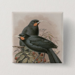 Huia Vierkante Button 5,1 Cm