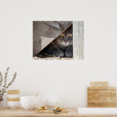 Huid-a-Kat Poster (Keuken)