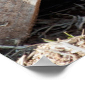 Huid-a-Kat Poster (Hoek)