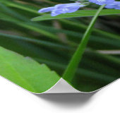 Huid- en onderhuidaandoeningen poster (Hoek)