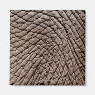 Huid van Afrikaanse olifanten (Loxodonta africana) Magneet