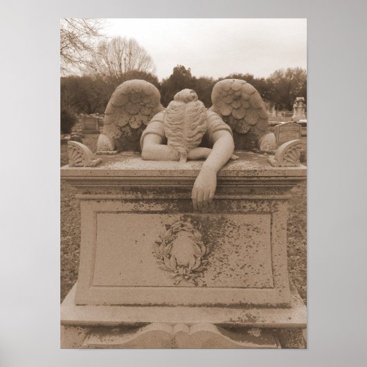 Huidengel Poster sepia (Voorkant)