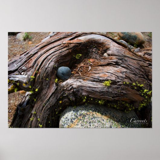 Huidig Poster (Voorkant)