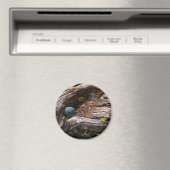 Huidige Magnet Magneet (Insitu (Vaatwasser))