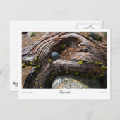 Huidige Prints Briefkaart (Voorkant / Achterkant)