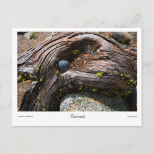 Huidige Prints Briefkaart