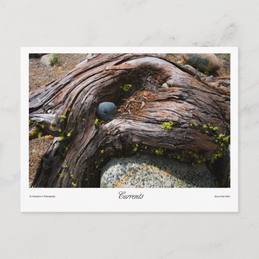 Huidige Prints Briefkaart (Voorkant)