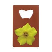 Huile de cendres d'ardoise #1 (Dos)