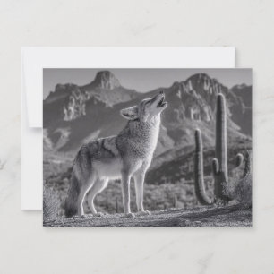 Huilende Coyote in Woestijnlandschap Briefkaart
