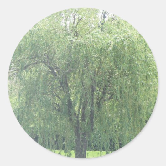Huilende WIllow Ronde Sticker (Voorkant)