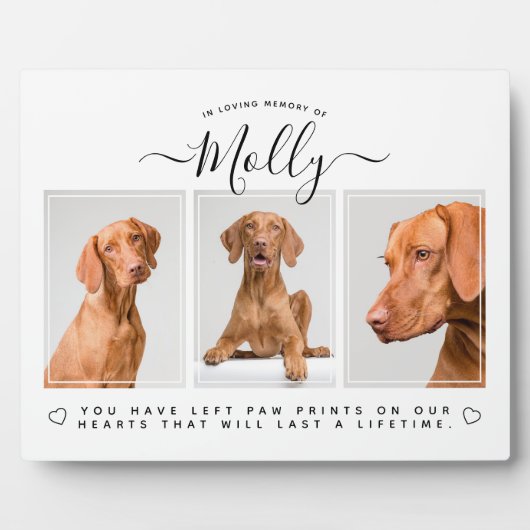 Huis Fotoplaat (Voorkant)