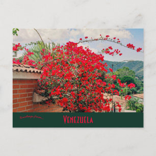 Huis met bloemen Caracas Venezuela Briefkaart