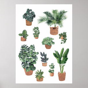 Huis Plant Collectie 4 Poster