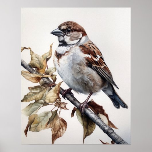 Huis Sparrow Bird Art Print Poster (Voorkant)