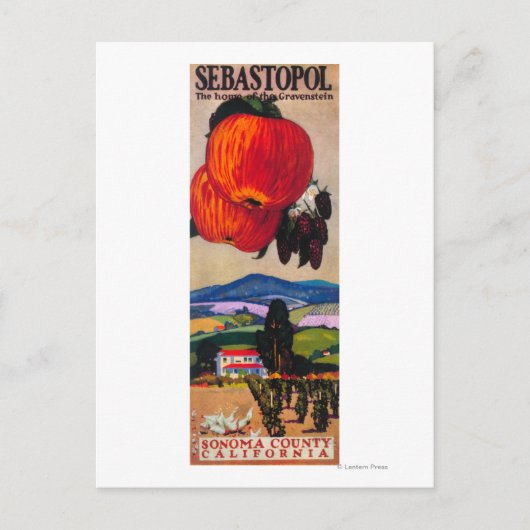 Huis van het Poster Gravenstein Briefkaart (Voorkant)