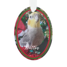 Huisdier Acryl Kerst Ornament Bird Aanpasbaar