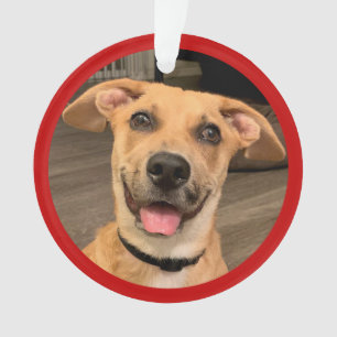 Huisdier Adoptie Aangepaste Foto Ornament