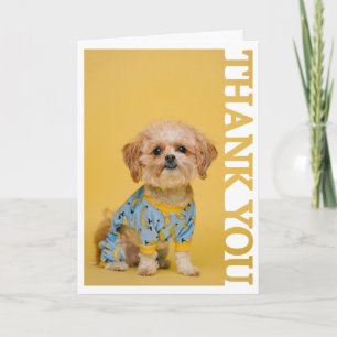 Huisdier Adoptie Dierenarts Fotolijstje Dank je we Bedankkaart
